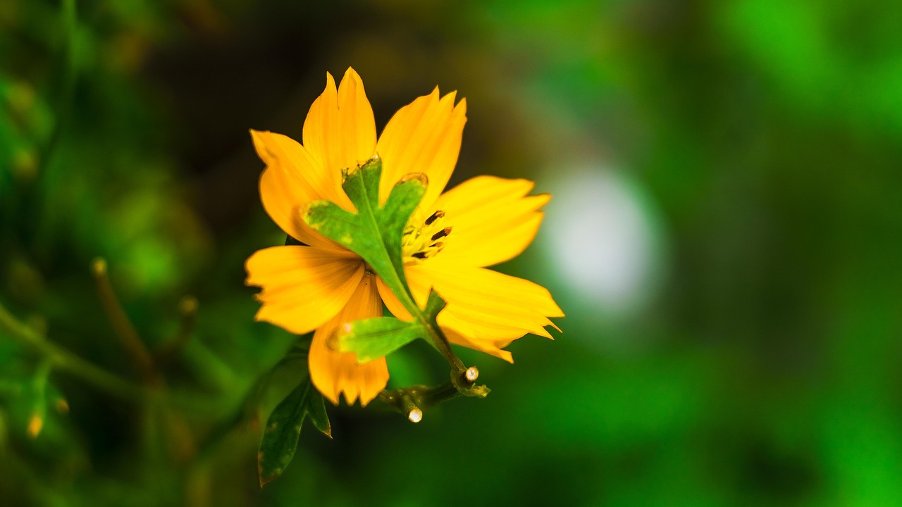 d&eacute;couvrez les &eacute;tapes essentielles pour r&eacute;ussir la cr&eacute;ation de votre entreprise, de l'id&eacute;e &agrave; la r&eacute;alisation, avec des conseils pratiques et des ressources adapt&eacute;es aux entrepreneurs.