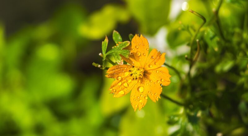 d&eacute;couvrez les &eacute;tapes essentielles pour r&eacute;ussir la cr&eacute;ation de votre entreprise et lancez votre projet business avec succ&egrave;s.