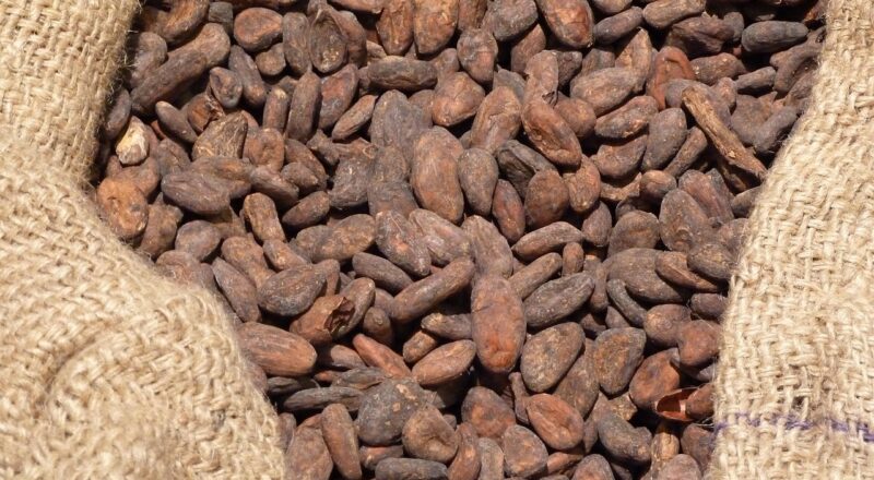 d&eacute;couvrez notre chocolaterie artisanale, o&ugrave; passion et savoir-faire se m&ecirc;lent pour vous offrir des chocolats d'exception, riches en saveurs et en &eacute;motions.