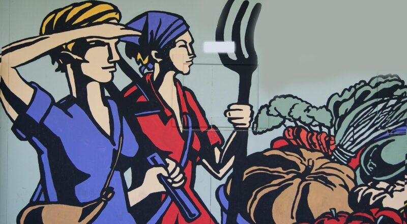 d&eacute;couvrez les cl&eacute;s de l'entrepreneuriat pour lancer et d&eacute;velopper votre propre entreprise avec succ&egrave;s.