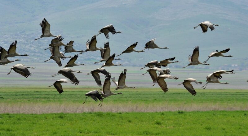 d&eacute;couvrez tout ce qu'il faut savoir sur l'expatriation : conseils, d&eacute;marches, astuces et t&eacute;moignages pour r&eacute;ussir votre installation &agrave; l'&eacute;tranger.