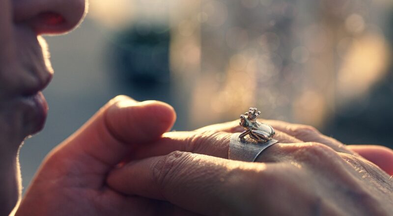 d&eacute;couvrez la v&eacute;ritable passion professionnelle du prince, une histoire inspirante alliant d&eacute;vouement et excellence dans son domaine.