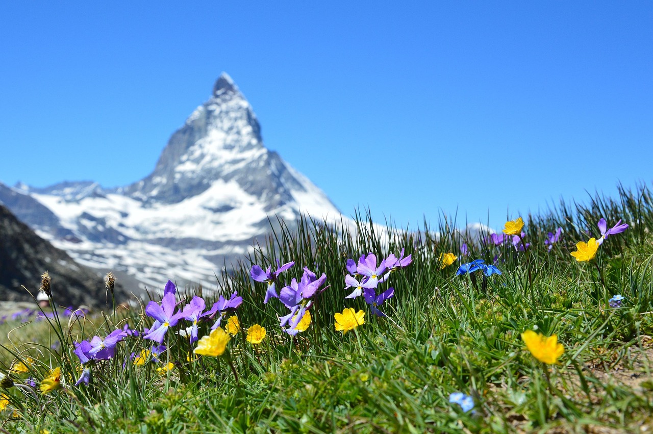 d&eacute;couvrez swiss alpine village, un charmant village alpin suisse alliant traditions authentiques et paysages majestueux pour une exp&eacute;rience unique en montagne.